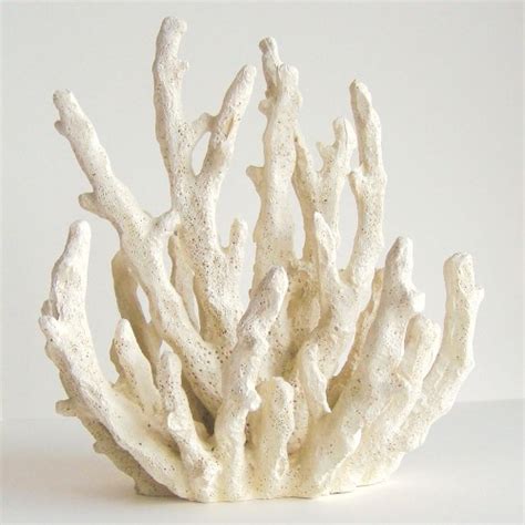 White coral | Home Decor | Pinterest