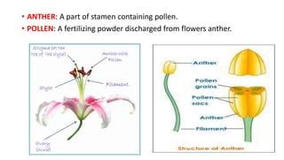 Anther and pollen culture | PPT