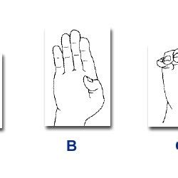 Hand gesture recognition algorithm block diagram. | Download Scientific ...