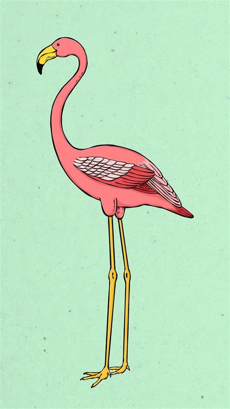 Download free psd / image of Hand drawn pink flamingo psd by Noon about ...