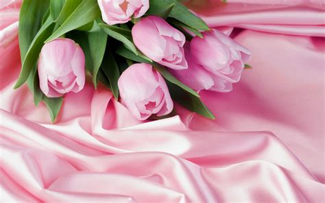 Pink Tulips wallpaper | 1920x1200 | #42522