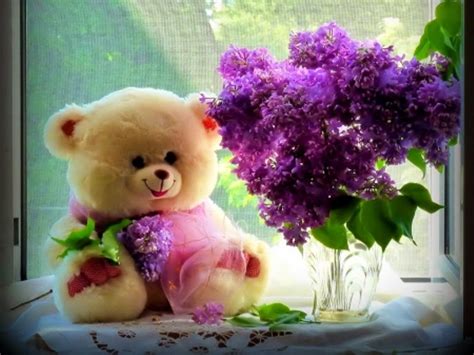 Teddy Bear Day 2017 Quotes Wishes, Teddy Day Images - Nice Photos Of ...