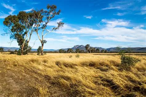 45,628+ Victoria Australia Pictures | Download Free Images on Unsplash