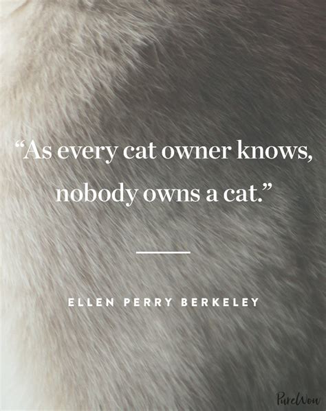 12 Cat Quotes Perfect for Feline Fans - PureWow