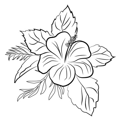 Premium Vector | Set of flowers. Vector flower drawing and sketch with black and white line-art.