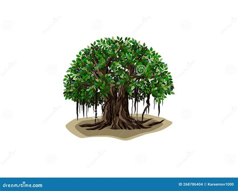 Banyan Tree and Roots Illustrations Stock Vector - Illustration of plant, isolated: 268786404