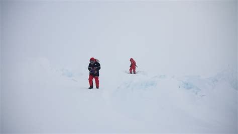 Expedition to North Pole paints picture of Arctic climate change | CBC News