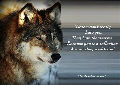 Let the wolves run free. | Wolf quotes, Wolf pack quotes, Lone wolf quotes