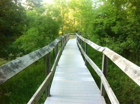 Your Kids Will Love This Easy 1-Mile Waterfall Hike Right Here In Missouri