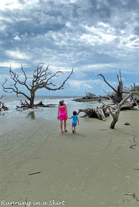 Driftwood Beach Jekyll Island « Running in a Skirt