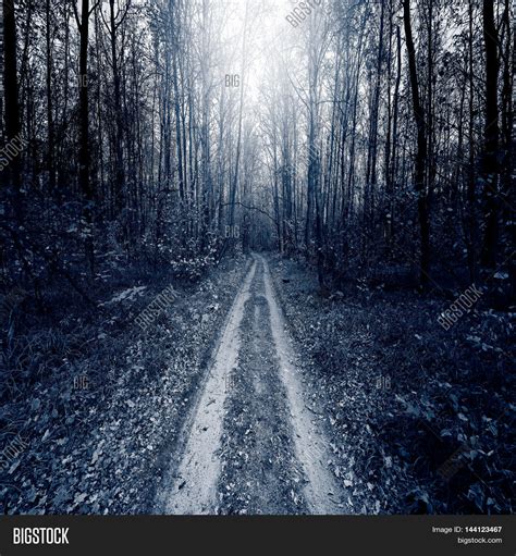 Path Deep Forest Night Image & Photo (Free Trial) | Bigstock