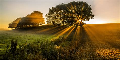 Natural Light Photography — Techniques & Benefits Explained