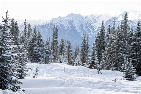 Top Things To Do During Winter at Olympic National Park, WA