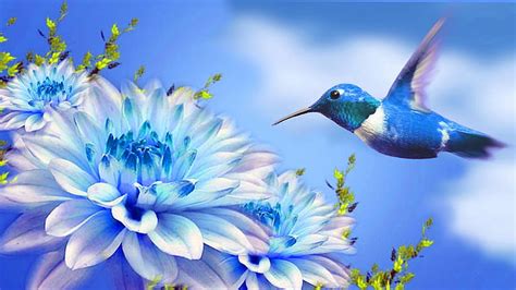 HD wallpaper: Hummingbird, nectar, red flower | Wallpaper Flare