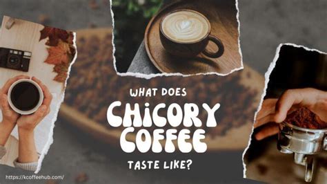 What Does Chicory Coffee Taste Like - K Coffee Hub