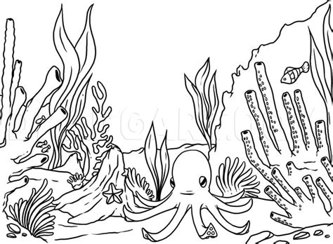 How to Draw a Coral Reef, Coloring Page, Trace Drawing | Coral reef drawing, Sea animals ...