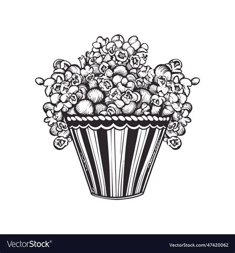 Bucket of popcorn sketch Royalty Free Vector Image