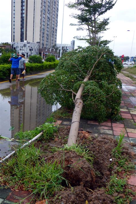 Typhoon Vicente storm damage Shenzhen China | Damage in the … | Flickr