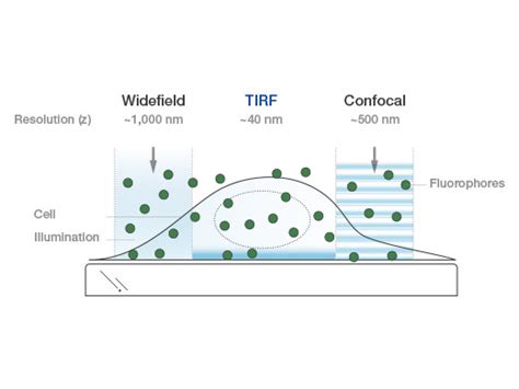 cellTIRF-4Line system | TIRF Microscopy Solutions | Olympus LS