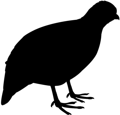 Quail Silhouette | Free vector silhouettes