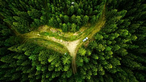 Drone Forest Wallpapers - Top Free Drone Forest Backgrounds ...