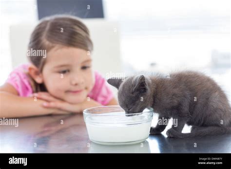 Girl looking at kitten drinking milk from bowl Stock Photo - Alamy