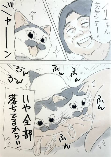 まいにちノリ吉 | にごたろ『ノリ吉は大吉猫』発売中 さんのマンガ | ツイコミ(仮)