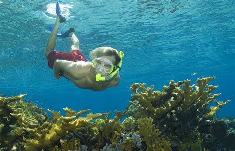 Bahamas Cruise Excursions | Nassau Ultimate Snorkeling Adventure - $99us