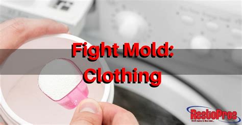 Removing Mold from Clothes - RestoPros