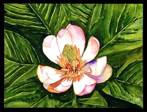 Japanese Magnolia Painting by Shannon Evans - Pixels