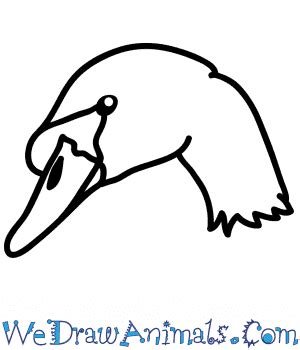 How to Draw a Swan Face