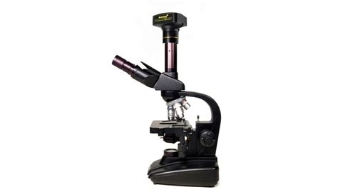 9 Best Digital Microscopes (Winter 2024) – The Complete Guide