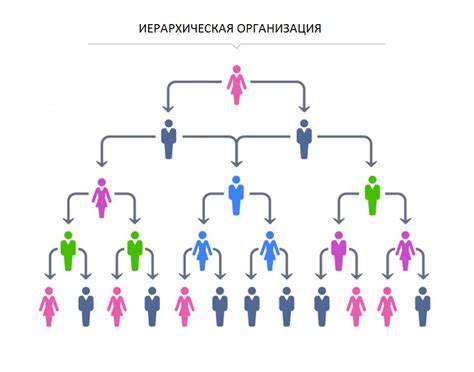 иерархия подчинения по вашей должности что это