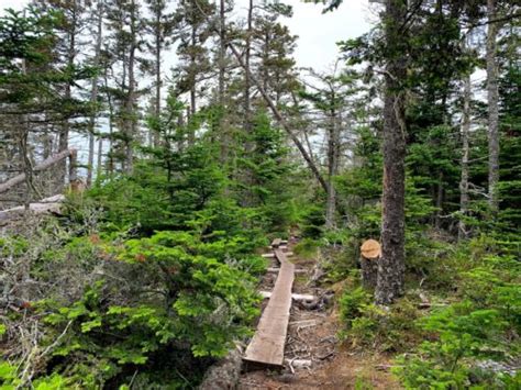 Hiking Gaff Point Trail In Nova Scotia