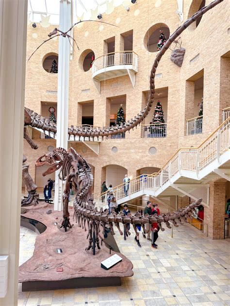 Exploring the Fernbank Museum of Natural History » Sunny Sweet Days