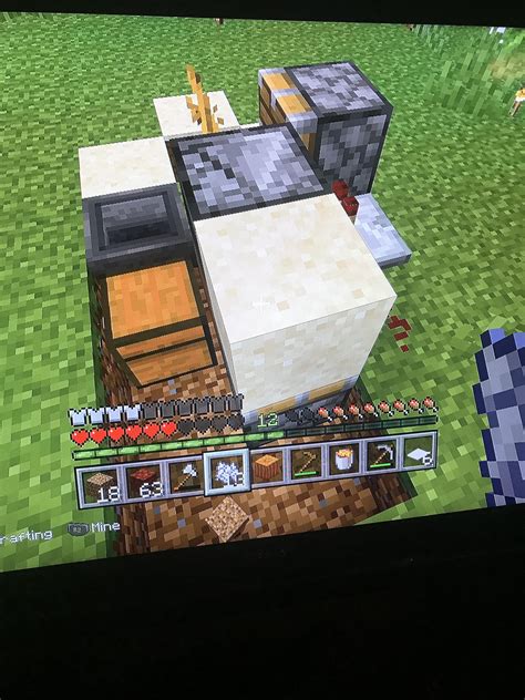 What’s wrong with my auto pumpkin farm? : r/Minecraft