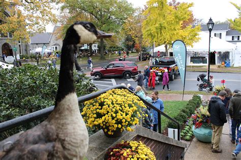 53rd Annual Waterfowl Festival - Discover Easton, Maryland