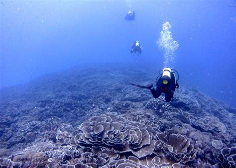 Diving in Pemba, Zanzibar Archipelago | Audley Travel