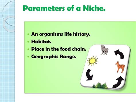 PPT - Ecological Niche PowerPoint Presentation, free download - ID:3826092