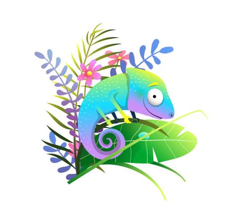 10,800+ Cute Chameleon Stock Photos, Pictures & Royalty-Free Images ...