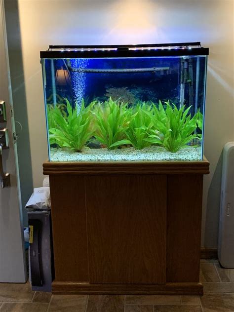 37 Gallon Fishtank for Sale in Sunnyvale, CA - OfferUp