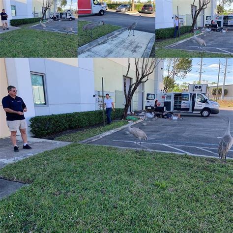 We had some visitors this afternoon when we were cleaning up the trucks ...