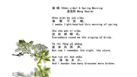 A Famous Poem That Every Chinese Kid Knows--Spring Morning : ChineseLanguage