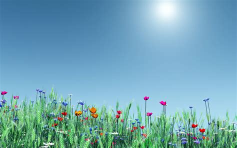 Free Spring Flowers, Download Free Spring Flowers png images, Free ...