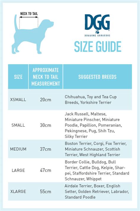 How Do You Measure A Dog For A Coat