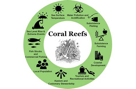 Mapping long-term coral reef ecosystems regime shifts - Pacific EcoAdapt