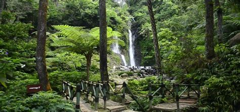 Curug Cilember dengan 7 Tingkatan yang Mempesona di Jawa Barat - Jawa Barat