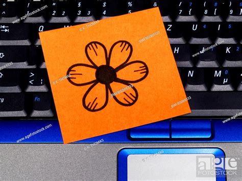 memo note on notebook, drawing flower, Stock Photo, Picture And Rights Managed Image. Pic. BWI ...