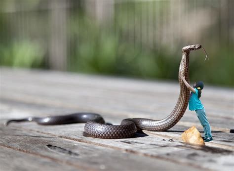 Fear Of Snakes: 3 Ways You Can Cope | Betterhelp