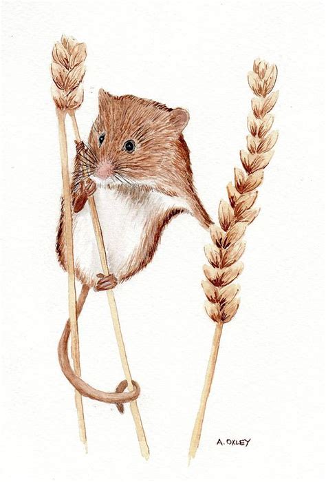 Field Mouse Painting by Anne Oxley - Fine Art America